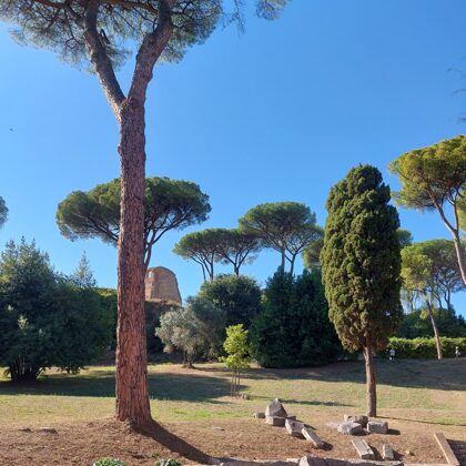 Palatine hill garden in Rome - Horti Farnesiani Сады Фарнезе - Фарнезианские сады Палатин
