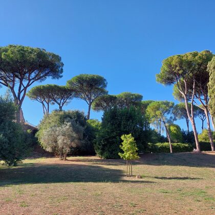 Palatine hill garden in Rome - Horti Farnesiani Сады Фарнезе - Фарнезианские сады Палатин