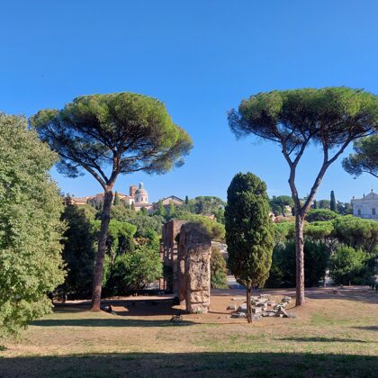 Palatine hill garden in Rome - Horti Farnesiani Сады Фарнезе - Фарнезианские сады Палатин