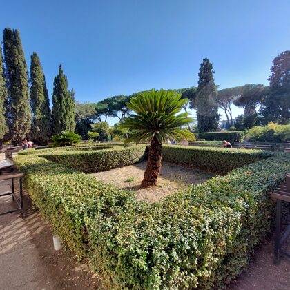Palatine hill garden in Rome - Horti Farnesiani Сады Фарнезе - Фарнезианские сады Палатин