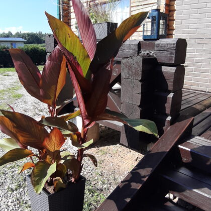 Садовник в Юрмале Проперти Менеджер propertymanager.lv