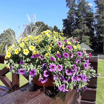 Садоводство в Юрмале Проперти Менеджер propertymanager.lv