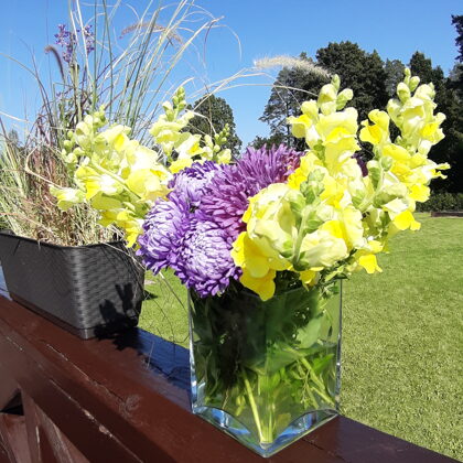 Садоводство в Юрмале Проперти Менеджер propertymanager.lv