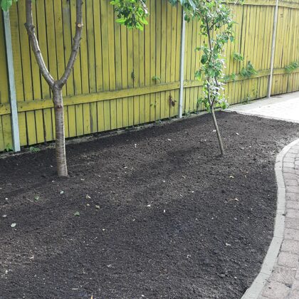 Реставрация газона 24600006