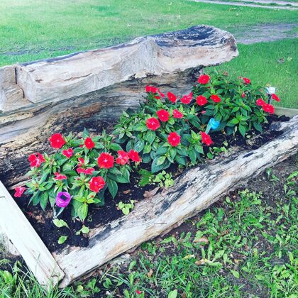 dārznieks jūrmalā property manager jurmala