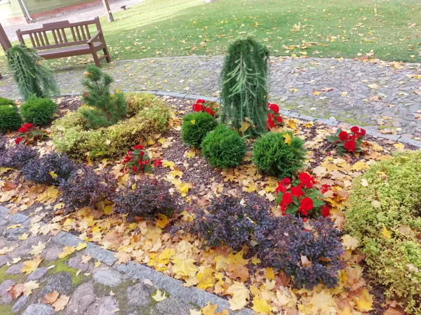 Kuldīgas pilsētas parks 2021-10 Городской парк Кулдиги 2021-10