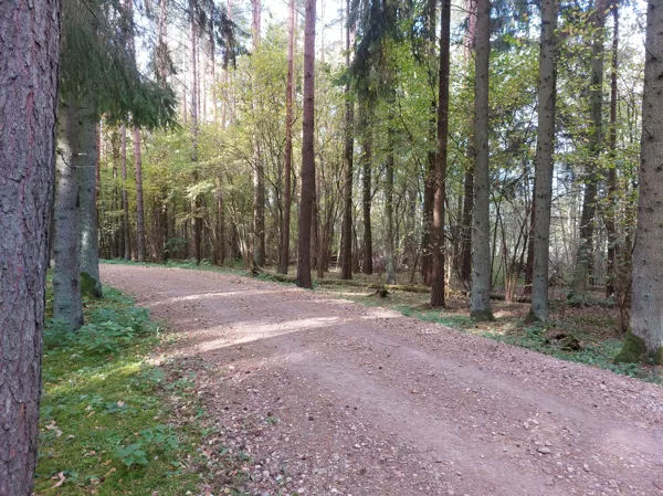 LVM Dabas parks Tērvetē Парк природы в Тервете