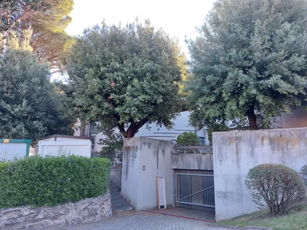 Vatican gardens Giardini Vaticani Horti Civitatis Vaticanae Сады Ватикана  Vatikāna dārzi