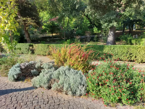 Vatican gardens Giardini Vaticani Horti Civitatis Vaticanae Сады Ватикана  Vatikāna dārzi