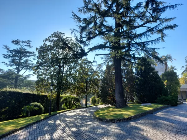 Vatican gardens
