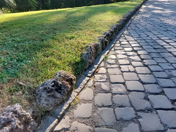 Vatican