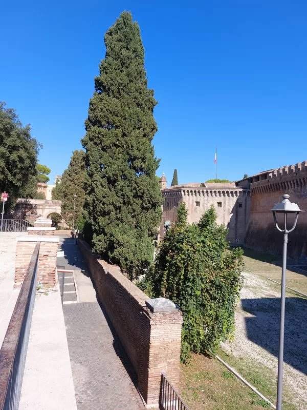 Castel Sant' Angelo dārznieks