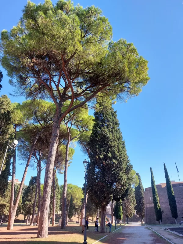 Castel Sant' Angelo