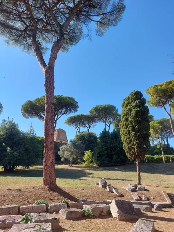 Palatine hill garden in Rome - Horti Farnesiani Сады Фарнезе - Фарнезианские сады Палатин