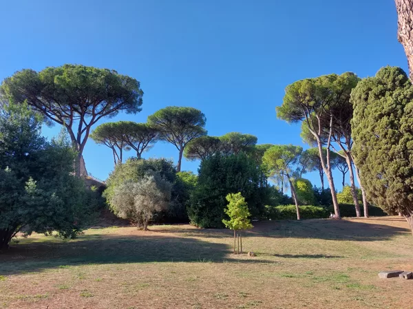 Palatine hill garden in Rome - Horti Farnesiani Сады Фарнезе - Фарнезианские сады Палатин