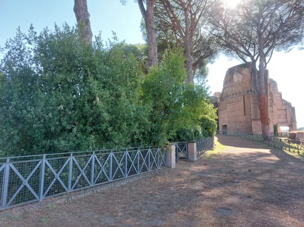 Palatine hill garden in Rome - Horti Farnesiani Сады Фарнезе - Фарнезианские сады Палатин