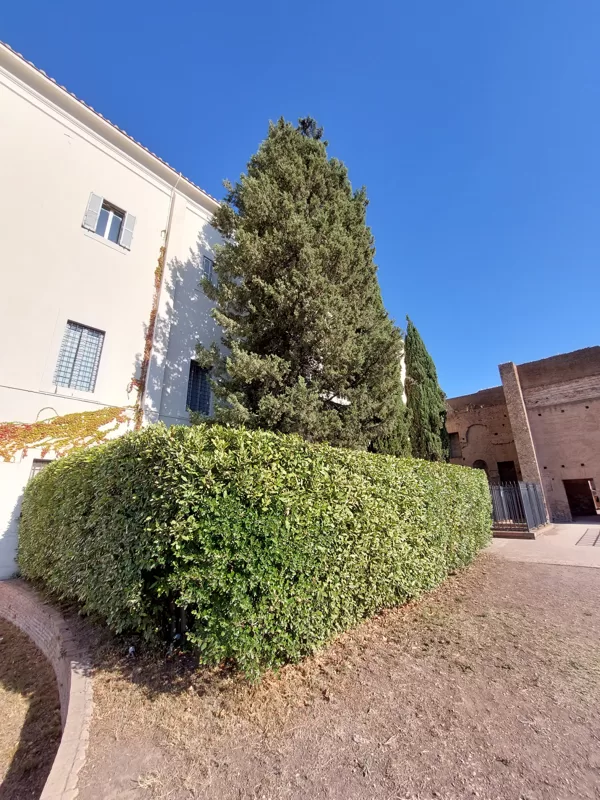 +37124600006