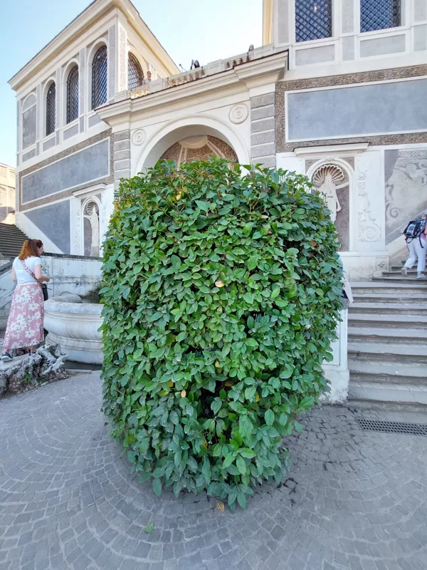 Palatine hill garden in Rome - Horti Farnesiani Сады Фарнезе - Фарнезианские сады Палатинс