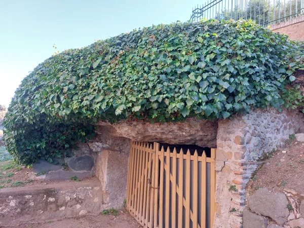 Palatine hill garden in Rome  Horti Farnesiani