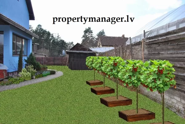 Визуализация 2D и 3D в Юрмале